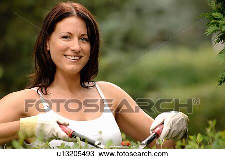 Stock Image - Woman clipping hedges, Regina, Saskatchewan. Fotosearch