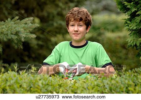 Stock Image - Boy clipping hedges, Regina, Saskatchewan. Fotosearch
