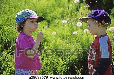 Stock Photo - Girl, 5, blows dandelions at boy, 5, Whistler, BC. Fotosearch