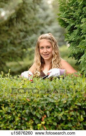 Stock Image - Girl clipping hedges, Regina, Saskatchewan. Fotosearch