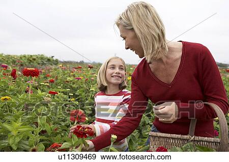 Stock Photo - Mother and daughter in a field of organic flowers, Ladner, British Columbia, Canada. Fotosearch