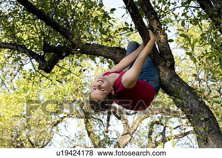 Stock Photo - Twelve year old girl hanging upside down from branch of crabapple tree, Winnipeg, Canada. Fotosearch