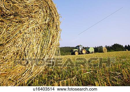 Farmer cutting hay in field, Bas-Saint-Laurent region, Quebec, Canada View Large Photo Image Picture - Farmer cutting hay in field, Bas-Saint-Laurent region, Quebec, Canada. Fotosearch
