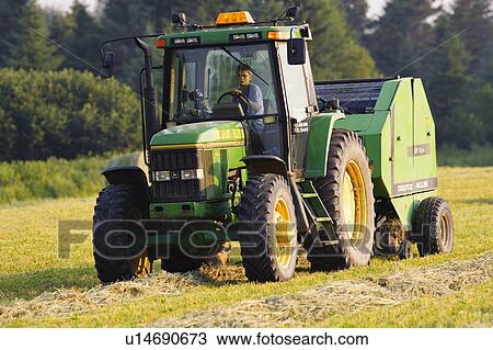 Farmer cutting hay in field, Bas-Saint-Laurent region, Quebec, Canada View Large Photo Image Stock Image - Farmer cutting hay in field, Bas-Saint-Laurent region, Quebec, Canada. Fotosearch