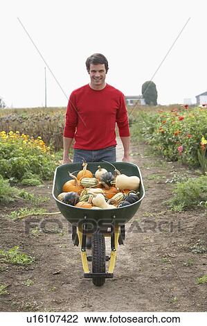 Man with wheelbarrow of organic vegetables, Ladner, British Columbia, Canada View Large Photo Image Stock Image - Man with wheelbarrow of organic vegetables, Ladner, British Columbia, Canada. Fotosearch