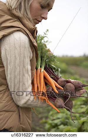 Woman with a bundle of fresh organic vegetables, Ladner, British Columbia, Canada View Large Photo Image Stock Photo - Woman with a bundle of fresh organic vegetables, Ladner, British Columbia, Canada. Fotosearch