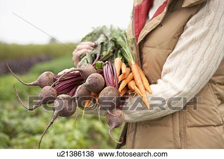 Woman with a bundle of fresh organic vegetables, Ladner, British Columbia, Canada View Large Photo Image Stock Photo - Woman with a bundle of fresh organic vegetables, Ladner, British Columbia, Canada. Fotosearch