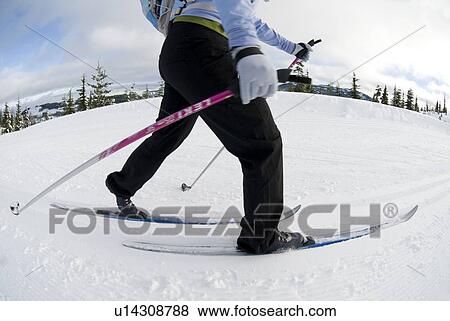 Stock Photo - A woman cross-country skiing, Strathcona Provincial Park near Courtenay, BC, Canada. Fotosearch