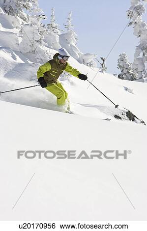 Fresh powder skiing on Whistler Mountain, Whistler, BC, Canada View Large Photo Image Stock Photograph - Fresh powder skiing on Whistler Mountain, Whistler, BC, Canada. Fotosearch