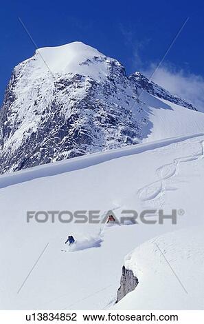 Two young men skiing untracked powder in figure 8's, Bugaboo Glacier Provincial Park, British Columbia, Canada View Large Photo Image Stock Image - Two young men skiing untracked powder in figure 8's, Bugaboo Glacier Provincial Park, British Columbia, Canada. Fotosearch