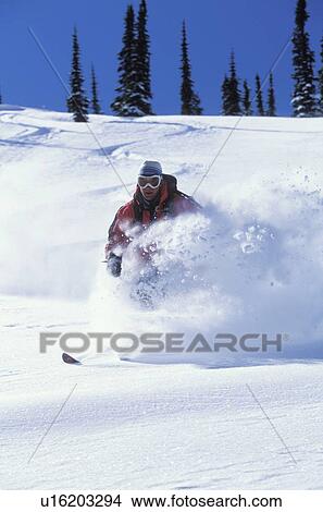 Picture - Young man skiing fresh powder at Fernie Alpine Resort, Fernie, British Columbia, Canada.. Fotosearch