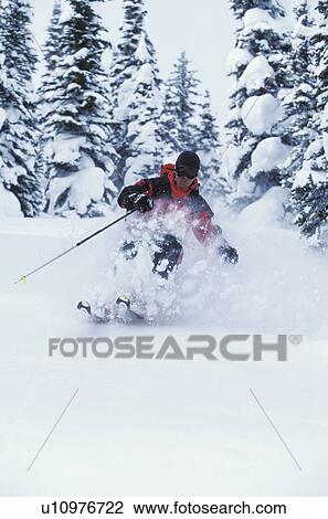 Young man skiing fresh powder at White Grizzly Adventures Catskiing, Meadow Creek, British Columbia, Canada. View Large Photo Image Stock Image - Young man skiing fresh powder at White Grizzly Adventures Catskiing, Meadow Creek, British Columbia, Canada.. Fotosearch