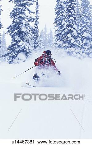 Stock Image - Young man skiing fresh powder during snowstorm at Rogers Pass, British Columbia, Canada.. Fotosearch