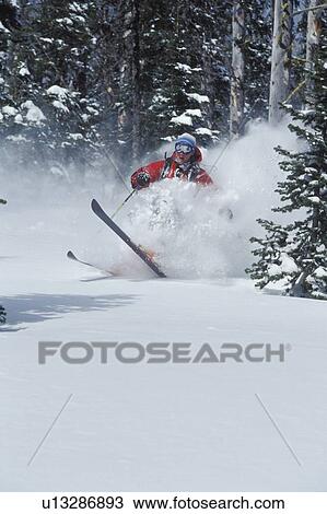Young man skiing fresh powder in the trees at Fernie Alpine Resort, Fernie, British Columbia, Canada View Large Photo Image Stock Image - Young man skiing fresh powder in the trees at Fernie Alpine Resort, Fernie, British Columbia, Canada. Fotosearch