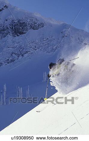Young man skiing fresh powder on steep slope at Fernie Alpine Resort, Fernie, British Columbia, Canada View Large Photo Image Stock Image - Young man skiing fresh powder on steep slope at Fernie Alpine Resort, Fernie, British Columbia, Canada. Fotosearch