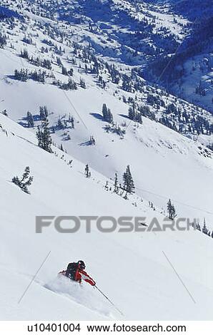 Picture - Young man skiing untracked slope in the backcountry near Alta, Utah, USA. Fotosearch