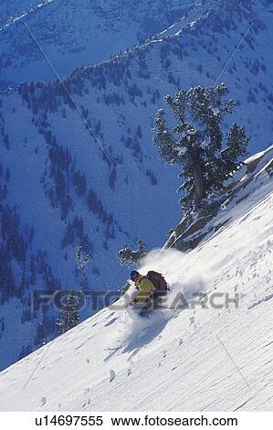 Stock Photography - Young man skiing untracked slope in the backcountry near Alta, Utah, USA.. Fotosearch