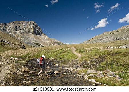 A woman (20-25) crosses a small alpine creek running through a meadow.; Canada, Alberta, Jasper National Park, Skyline Trail View Large Photo Image Stock Photography - A woman (20-25) crosses a small alpine creek running through a meadow.; Canada, Alberta, Jasper National Park, Skyline Trail. Fotosearch