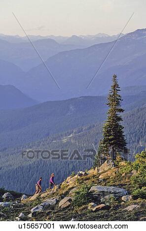 Couple hiking on Whistler Mountain, with coast mtn range in back View Large Photo Image Stock Image - Couple hiking on Whistler Mountain, with coast mtn range in back. Fotosearch