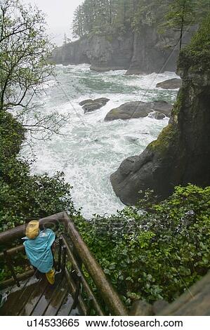 Stock Photography - Girl at lookout on Cape Flattery Trail, Washington, USA. Fotosearch