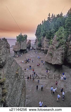 Stock Photograph - Hopewell Rocks, on the Bay of Fundy, New Brunswick, at low tide. Fotosearch