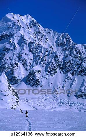 Mountaineering, St. Elias Mountains, Yukon, Canada View Large Photo Image Stock Photograph - Mountaineering, St. Elias Mountains, Yukon, Canada. Fotosearch