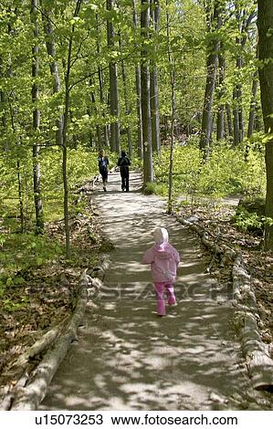 Stock Image - People walking down a pathway in the woods, Canada, Ontario, Dundas. Fotosearch