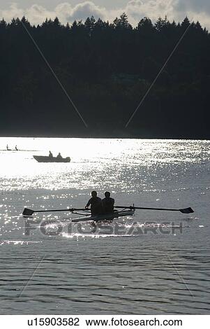 Silhouette of rowers competing on a lake, Elk Lake, Victoria, BC, Canada View Large Photo Image Stock Image - Silhouette of rowers competing on a lake, Elk Lake, Victoria, BC, Canada. Fotosearch