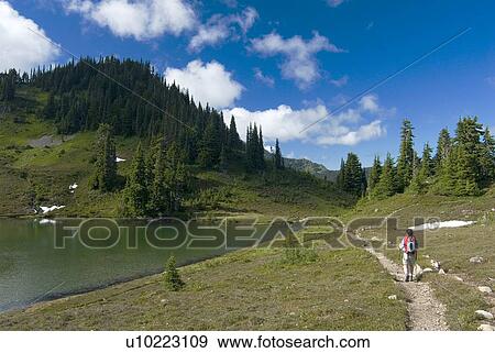 Stock Photo - Woman (20-25) hiking along an alpine trail by a lake; USA, Washington, Olympic National Park,. Fotosearch