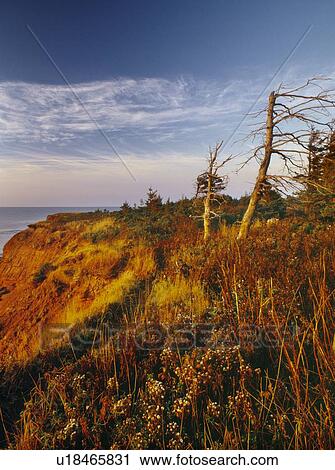 Stock Image - Cape Turner, Prince Edward Island National Park, PEI, Canada. Fotosearch