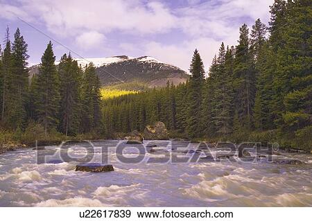 Maligne River, Jasper National Park, Alberta, Canada View Large Photo Image Stock Photo - Maligne River, Jasper National Park, Alberta, Canada. Fotosearch