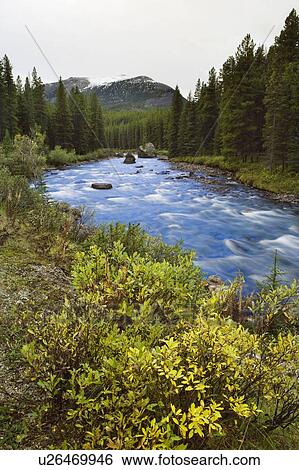 Maligne River - Jasper National Park, Alberta, Canada View Large Photo Image Stock Photograph - Maligne River - Jasper National Park, Alberta, Canada. Fotosearch