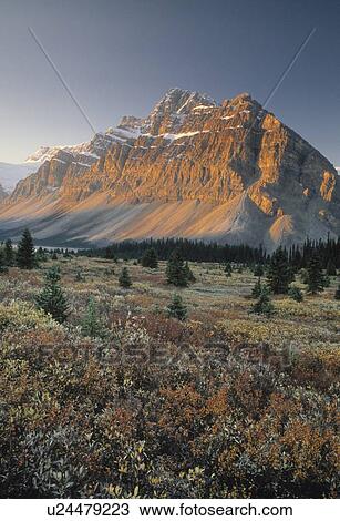 Stock Image - Mount Crowfoot at Bow Summit, fall colours, Banff National Park, Alberta, Canada. Fotosearch