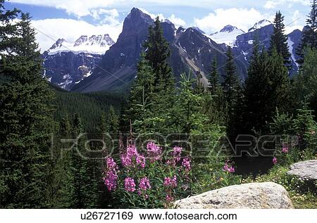 Stock Photo - Mountain Scenery, Banff National Park, Alberta, Canada. Fotosearch