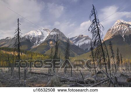 Stock Photo - Mt. Vaux and Chancellor Peak, Yoho National Park, BC, Canada. Fotosearch