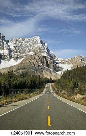 Stock Image - Road in Banff National Park, Alberta. Fotosearch