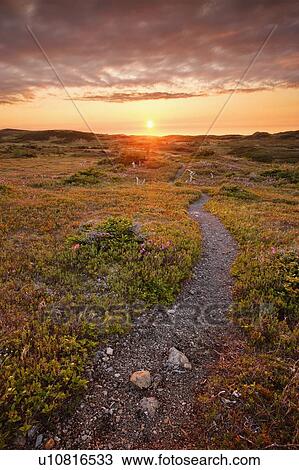 Stock Image - View of Lookout Trail at sunset, Gros Morne NP, Newfoundland, Canada. Fotosearch