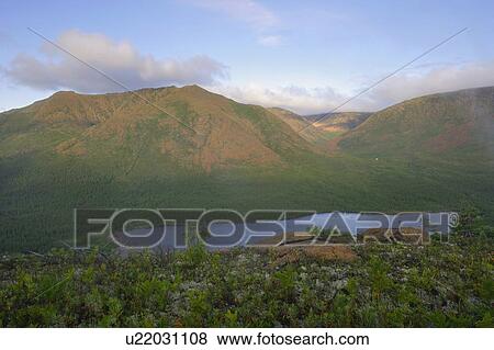 Stock Photo - View of Mount Albert from Mount Olivine, Gaspesie, Quebec. Fotosearch