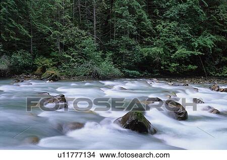 Water flowing over rocks on a creek, motion blur, Earl Grey Creek, East Kootenays, B. C. View Large Photo Image Picture - Water flowing over rocks on a creek, motion blur, Earl Grey Creek, East Kootenays, B. C.. Fotosearch