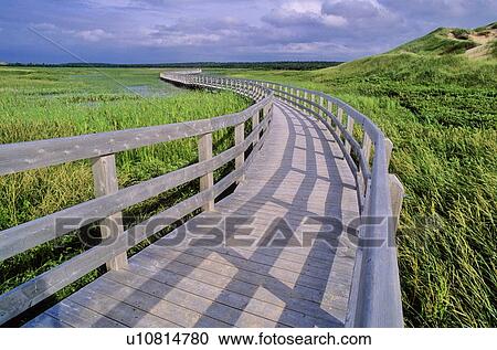 Wood bridge protects wetlands in Prince Edward Island Natl. Pk. View Large Photo Image Stock Image - Wood bridge protects wetlands in Prince Edward Island Natl. Pk.. Fotosearch