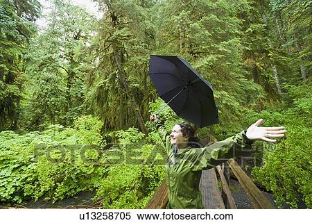 A woman enjoying the rainforest near Marymere Falls in Olympic National Park View Large Photo Image Stock Photography - A woman enjoying the rainforest near Marymere Falls in Olympic National Park. Fotosearch