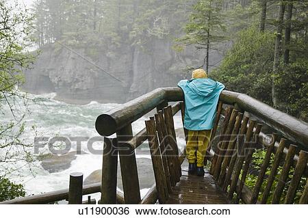 Stock Photograph - Girl at lookout on Cape Flattery Trail, Washington, USA. Fotosearch