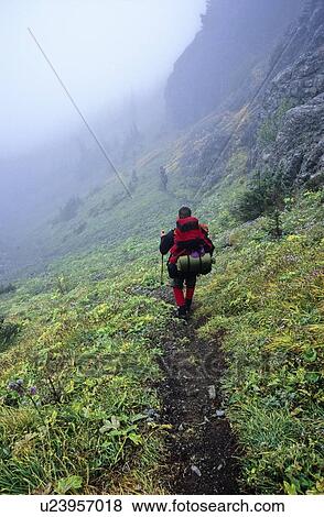 Stock Photo - Man (25-30) descending a mountain trail with a backpack on Port Alberni, Vancouver Island, B. C.. Fotosearch