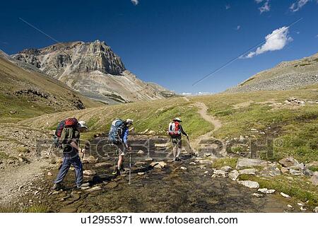 Three hikers cross a small creek in an alpine meadow.; Canada, Alberta, Jasper National Park, Skyline Trail View Large Photo Image Stock Image - Three hikers cross a small creek in an alpine meadow.; Canada, Alberta, Jasper National Park, Skyline Trail. Fotosearch