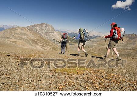 Three hikers in the alpine on a ridge; Canada, Alberta, Jasper National Park, Skyline Trail View Large Photo Image Stock Photo - Three hikers in the alpine on a ridge; Canada, Alberta, Jasper National Park, Skyline Trail. Fotosearch