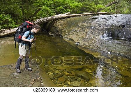 Stock Photo - Woman (20-25) looking into a pool in a sandstone creek in an old-growth coastal forest, West Coast Trail, Pacific Rim National Park Reserve, BC. Fotosearch
