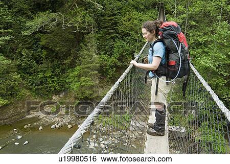 Stock Photograph - Woman (20-25) looking out from a suspension bridge in an old-growth coastal forest, West Coast Trail, Pacific Rim National Park Reserve, BC. Fotosearch