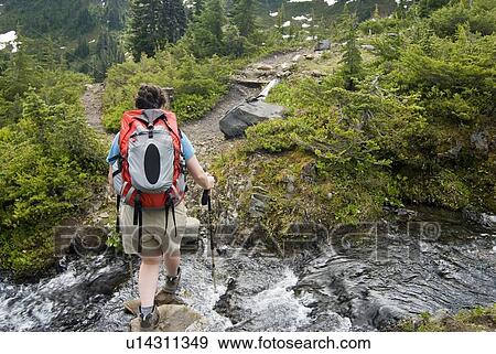 Stock Photo - Woman crossing a small alpine creek; USA, Washington, Olympic National Park,. Fotosearch