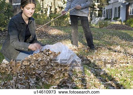 Teen brother and sister raking, Winnipeg, Canada View Large Photo Image Stock Image - Teen brother and sister raking, Winnipeg, Canada. Fotosearch
