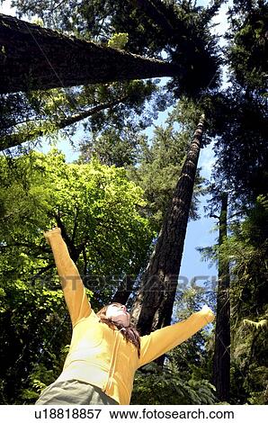 Stock Photo - Teen girl with arms open, Douglas Fir, Vancouver Island, Canada. Fotosearch